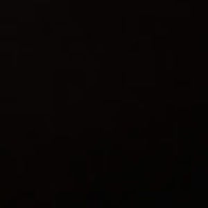 Meet your Posher, Dctt & stink nation